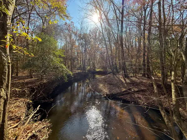 0 Mill Creek, Bethune, SC 29009