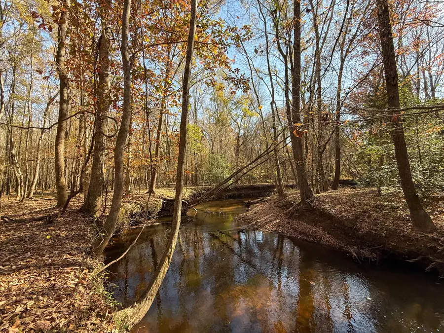 0 Mill Creek, Bethune, SC 29009 - #2