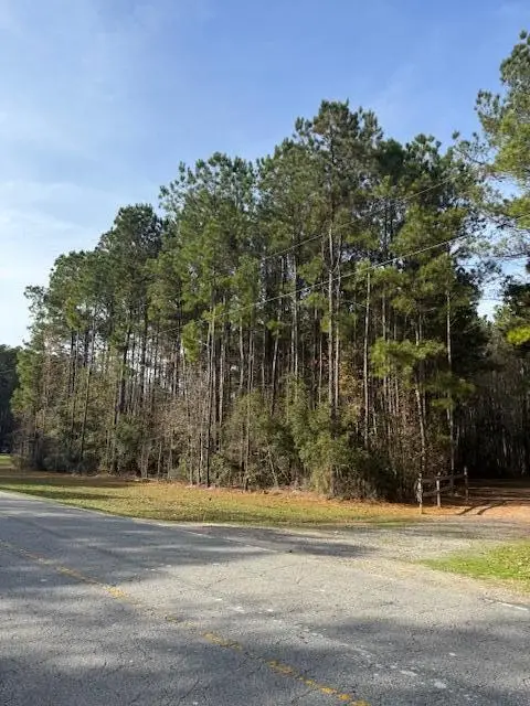 00 Myers Mayo Road #Lot 2, Ridgeville, SC 29472 - #2