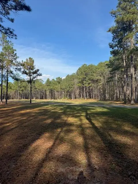 00 Myers Mayo Road #Lot 2, Ridgeville, SC 29472 - #3