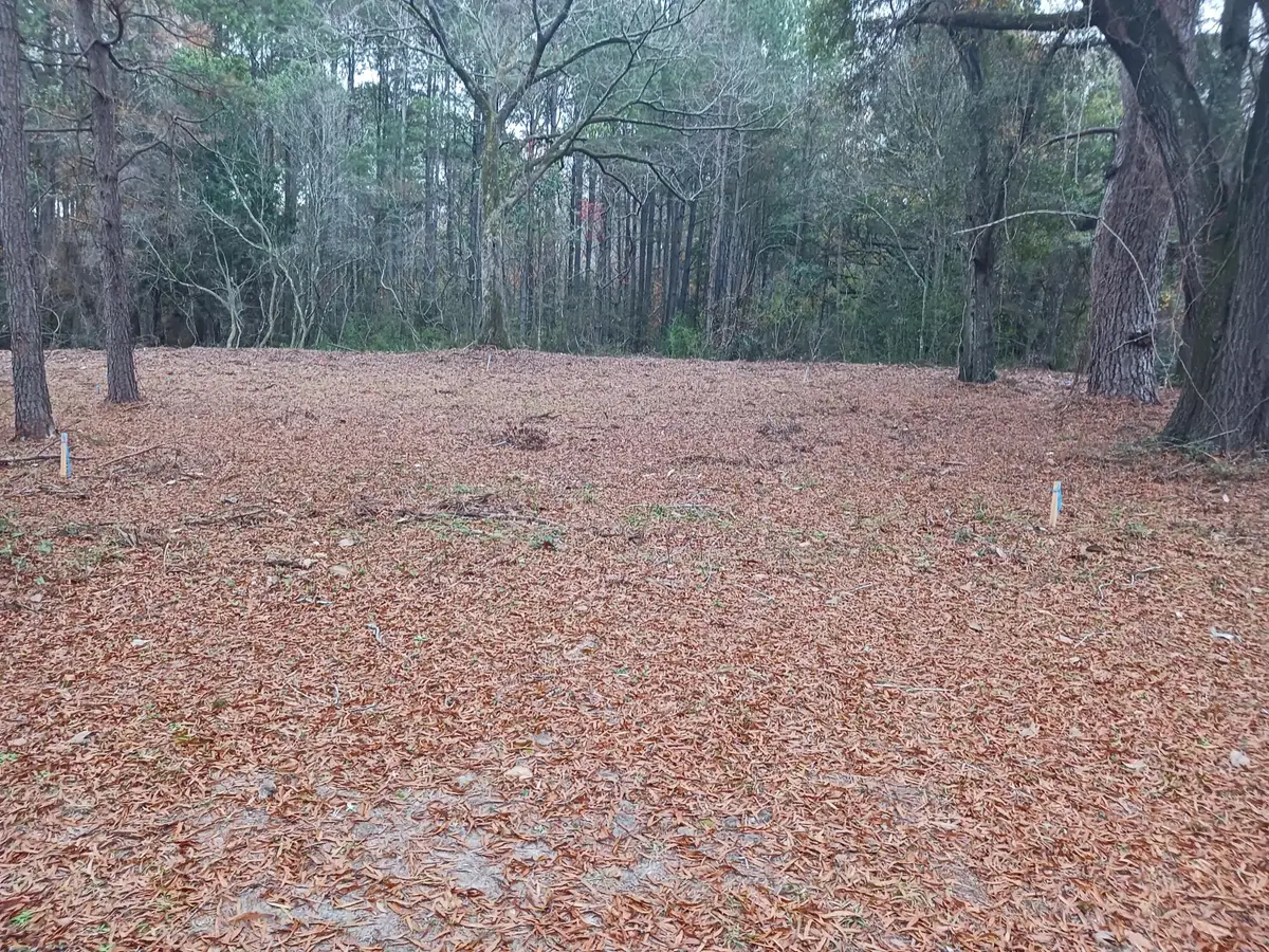 Address Withheld By Seller, Eutawville, SC 29048 - #1