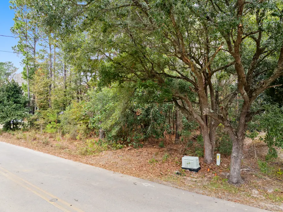 521 Hill Street, Moncks Corner, SC 29461 - #2