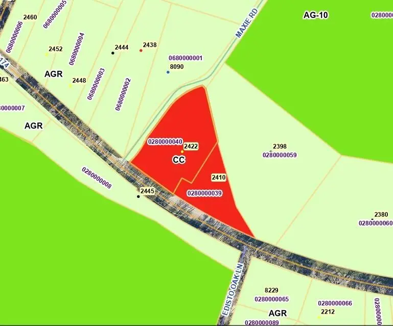 2422 Highway 174, Edisto Island, SC 29438 - #3