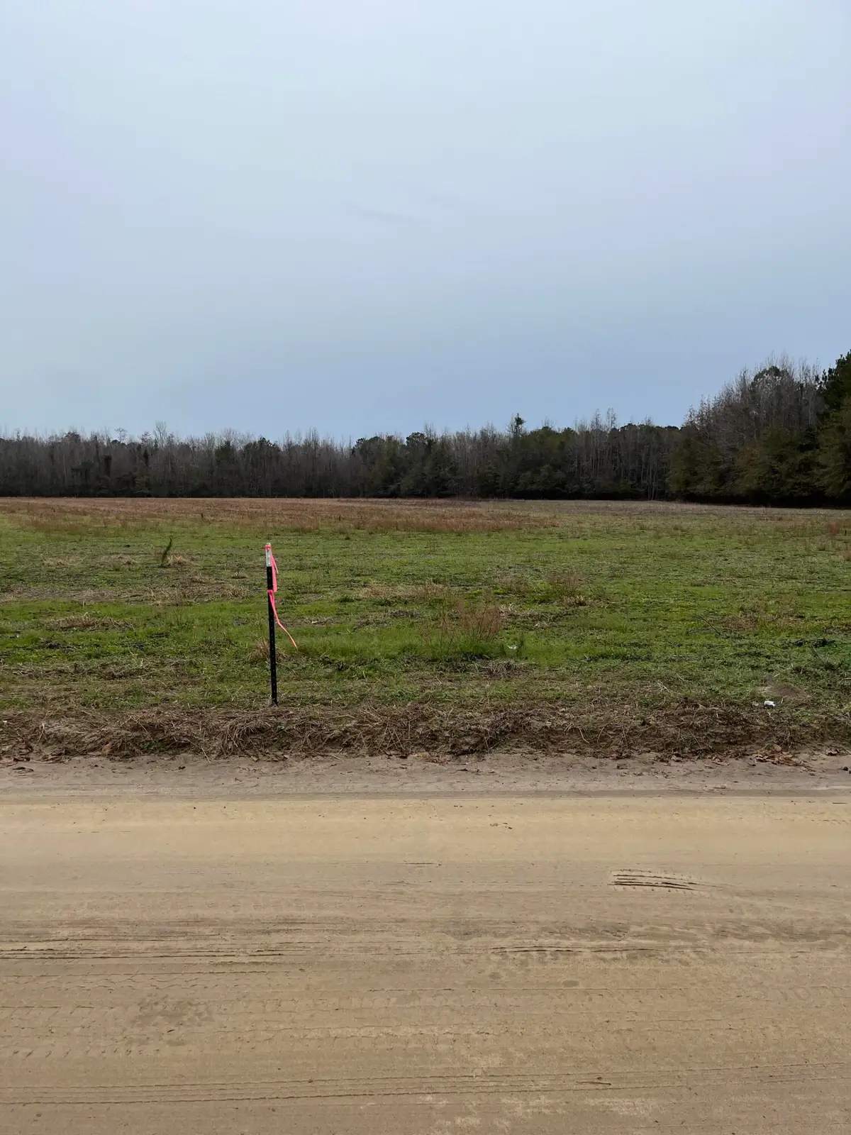 00 Ryn Street, Cope, SC 29038 - #1