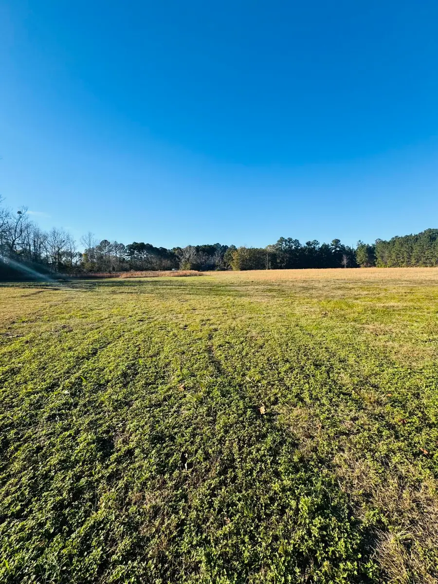 0 Bishopville Road, Saint George, SC 29477 - Image #2