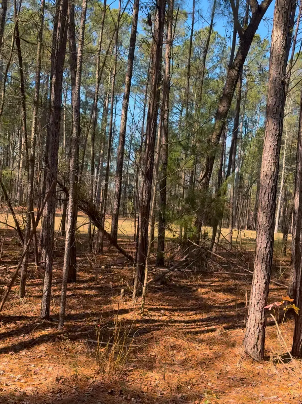 450 River Blf Trail, Saint Stephen, SC 29479 - #1