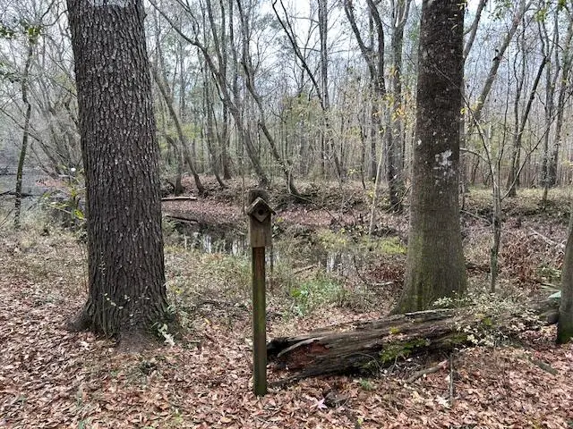 0 Parkers Ferry Rd Road, Ravenel, SC 29470 - #2