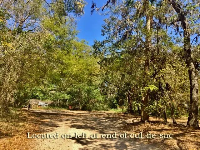 713 Sandpiper Ridge Road, Edisto Island, SC 29438 - #3