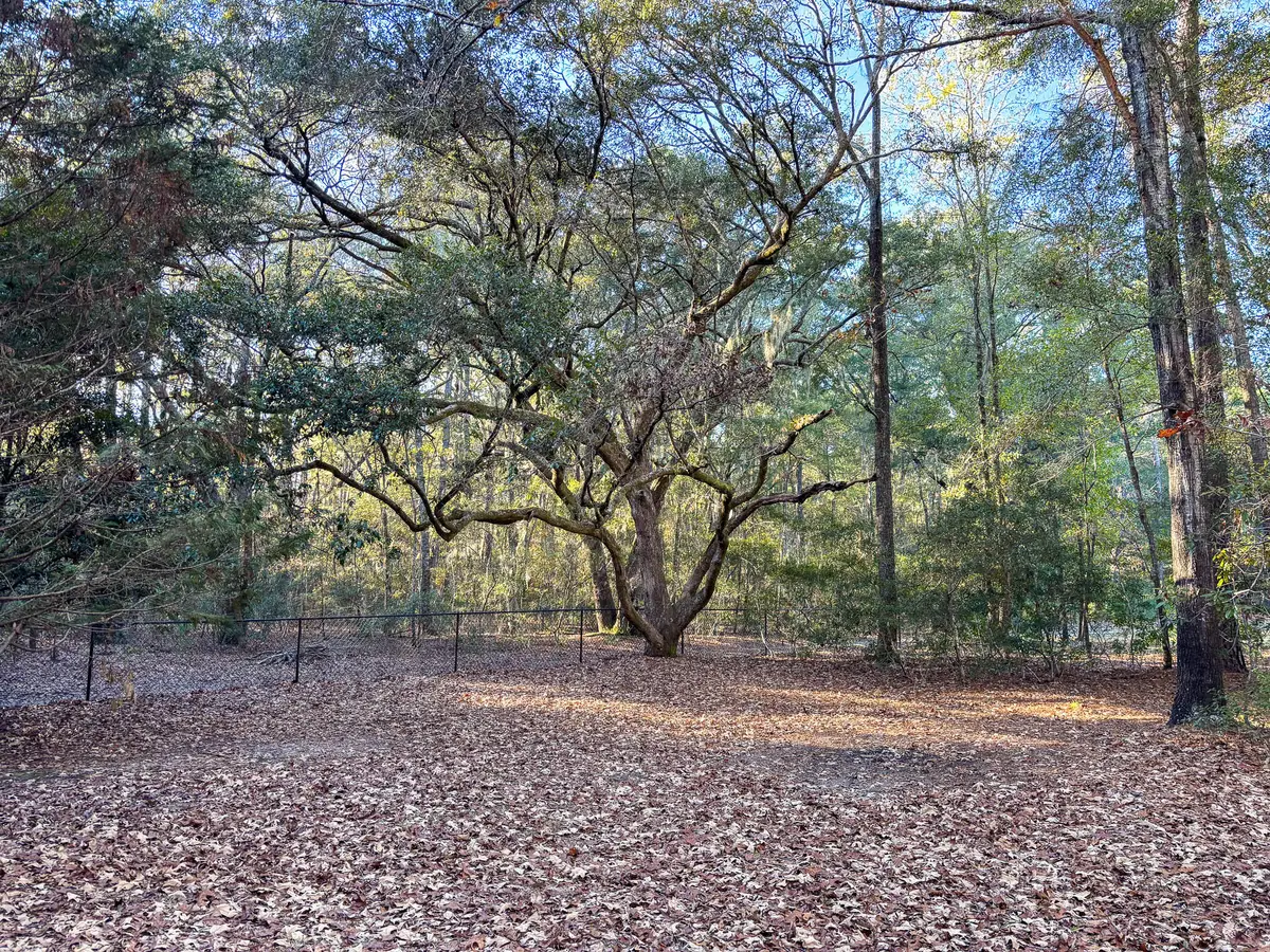 Address Withheld By Seller, Johns Island, SC 29455 - #1