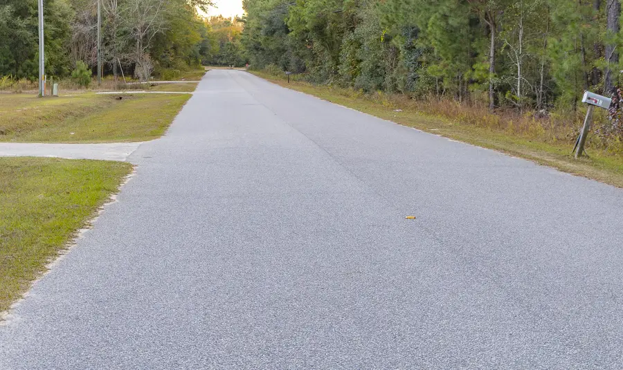 00 Tyler Road, Orangeburg, SC 29115 - #2