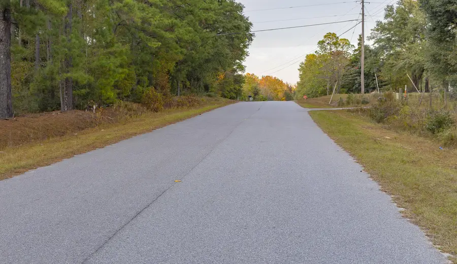 00 Tyler Road, Orangeburg, SC 29115 - #3