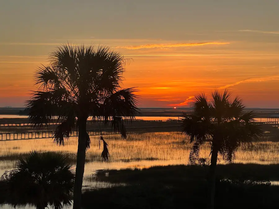 9715 Two Pines Road, McClellanville, SC 29458 - Image #3