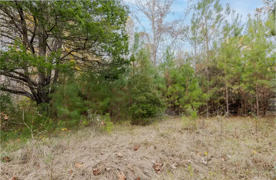 0 Allen Lane, Walterboro, SC 29488 - #2