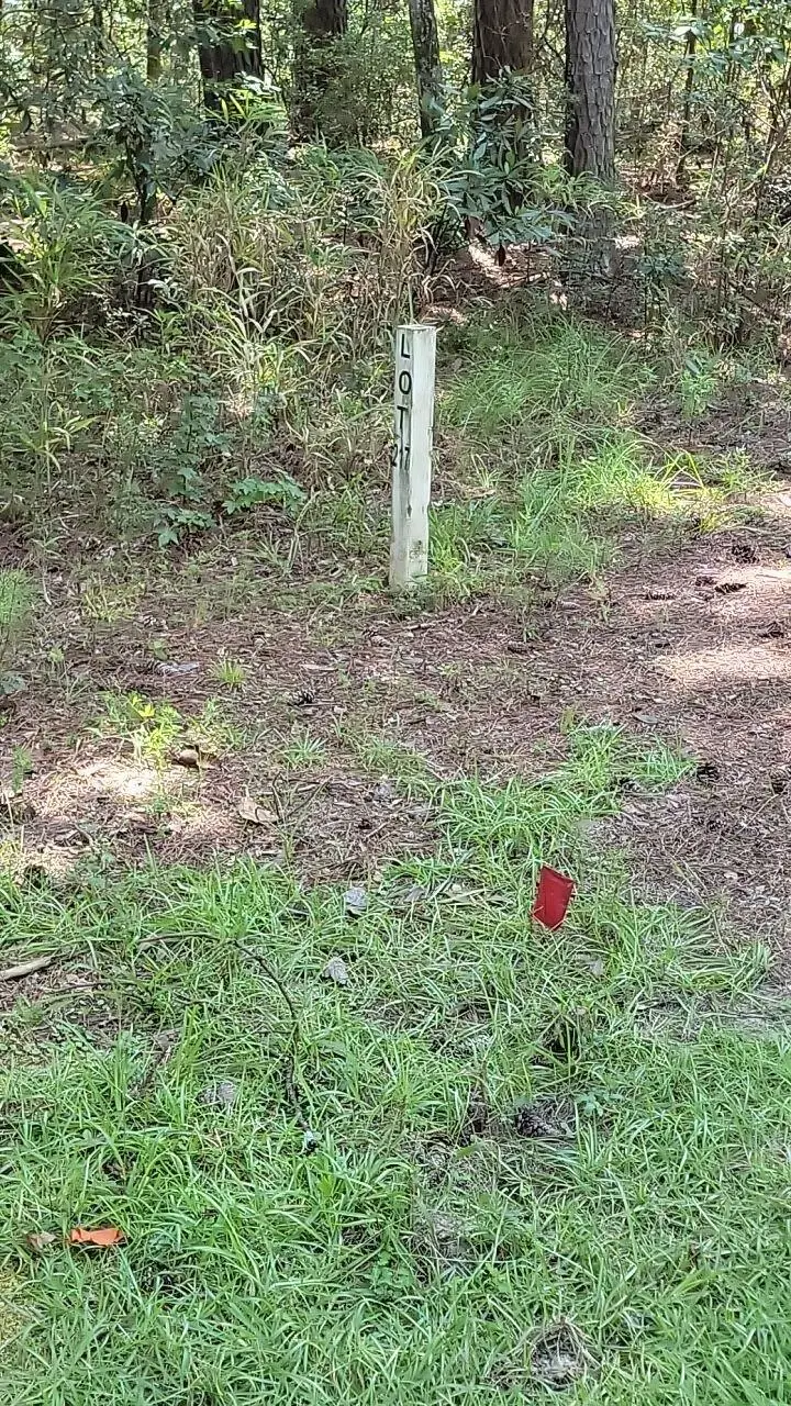 11 Barnaby, Seabrook, SC 29940 - Image #2