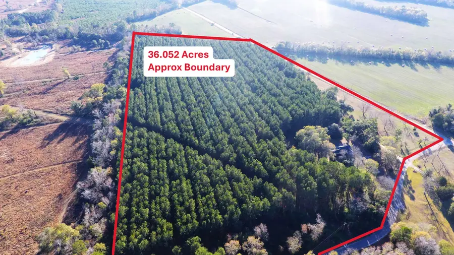 144 Broughton Drive, Eutawville, SC 29048 - Image #2