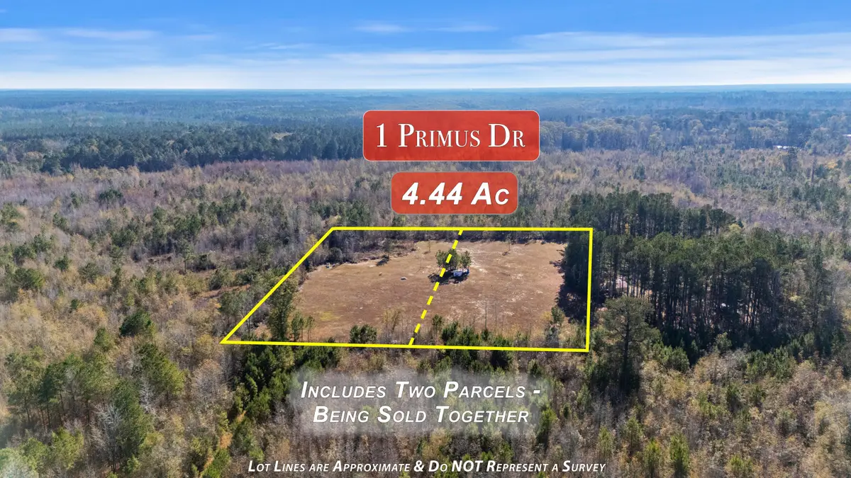 1 Primus Drive, Saint George, SC 29477 - #1