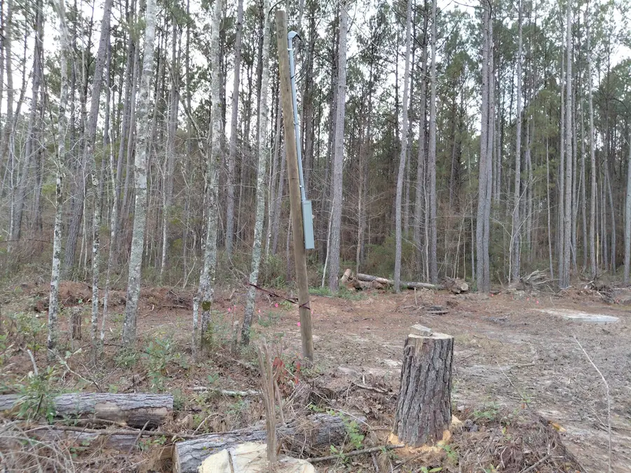 00 St Rd S-15-50 Bent Gate Lane, Walterboro, SC 29488 - #2