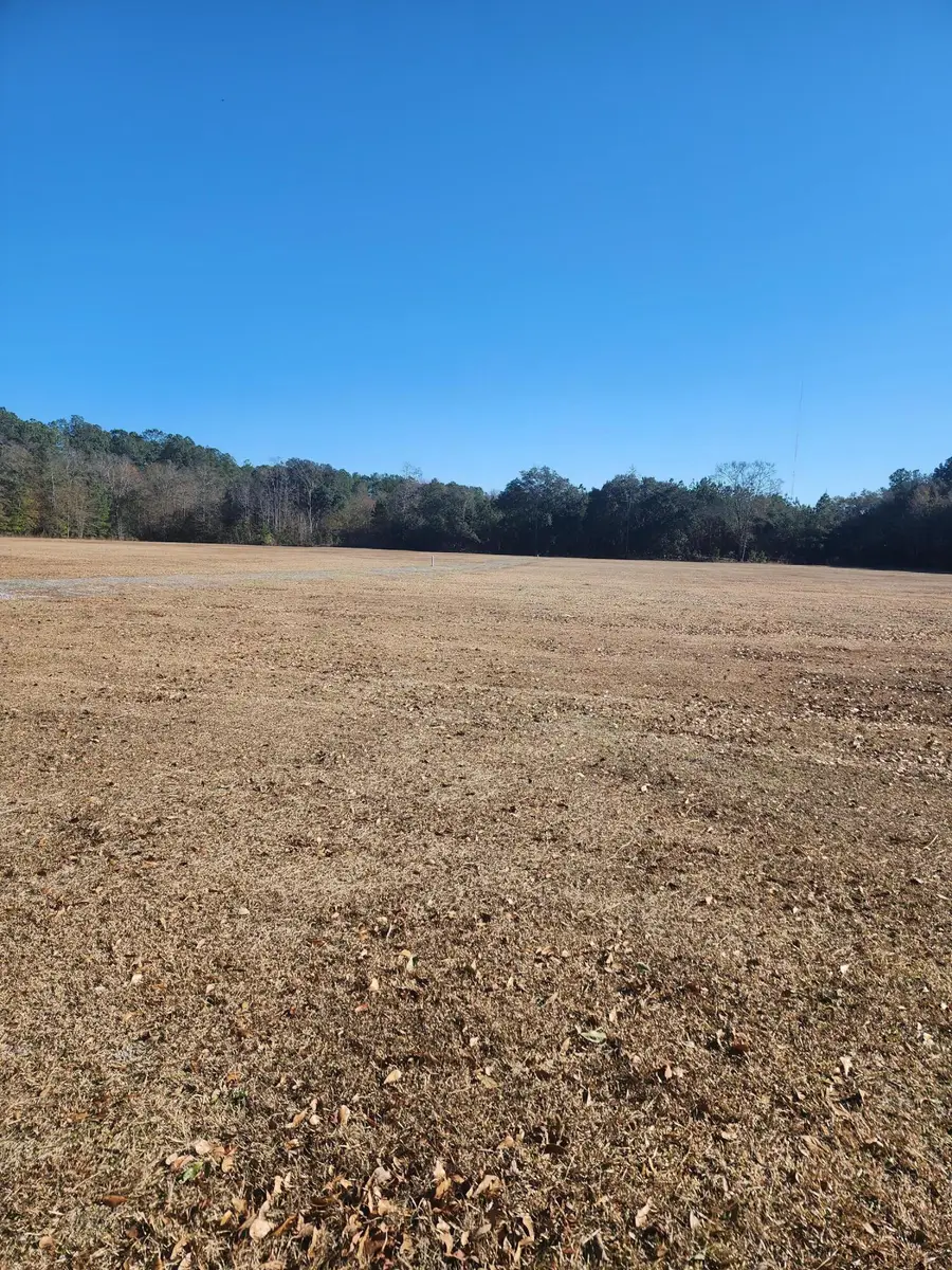 258 Truth Way, Cordesville, SC 29434 - #2