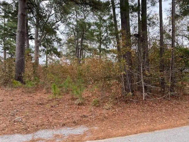 0 Pinebrook Street, Orangeburg, SC 29118 - Image #1