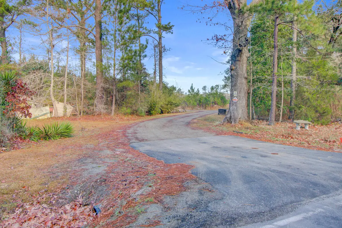 00 Hill Branch Road, Ridgeville, SC 29472 - #1