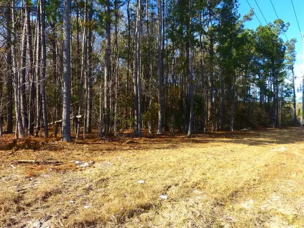 123 State Road, Summerville, SC 29486