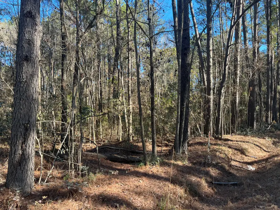 0 Brittlebank Road, Walterboro, SC 29488 - Image #3