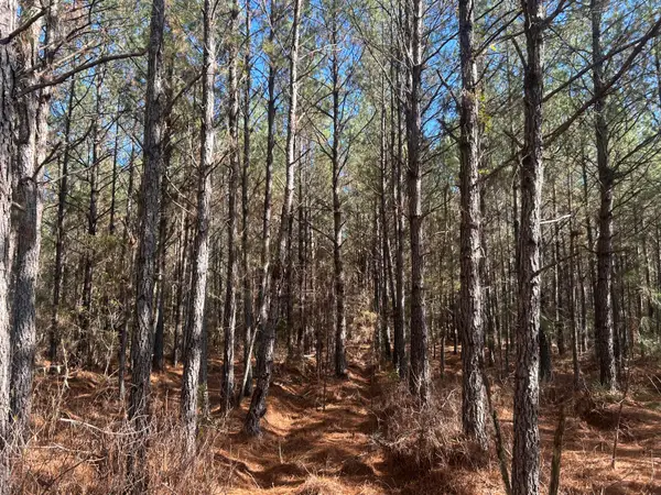 6 Red Oak Rd, Cottageville, SC 29435