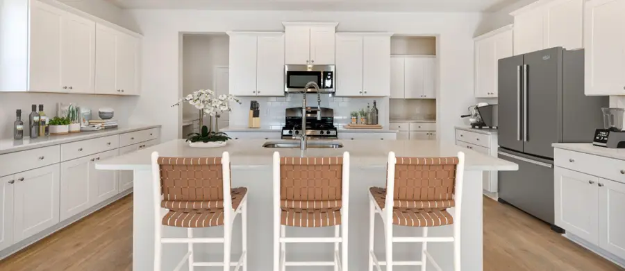 1010 Patagonia Street, Summerville, SC 29485 - Image #2