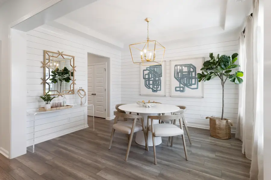 1008 Patagonia Street, Summerville, SC 29485 - Image #3