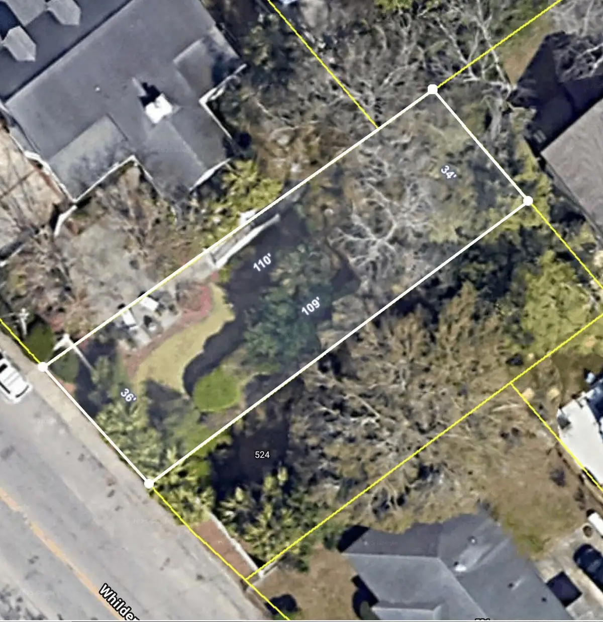 522 Whilden Street, Mount Pleasant, SC 29464 - #1