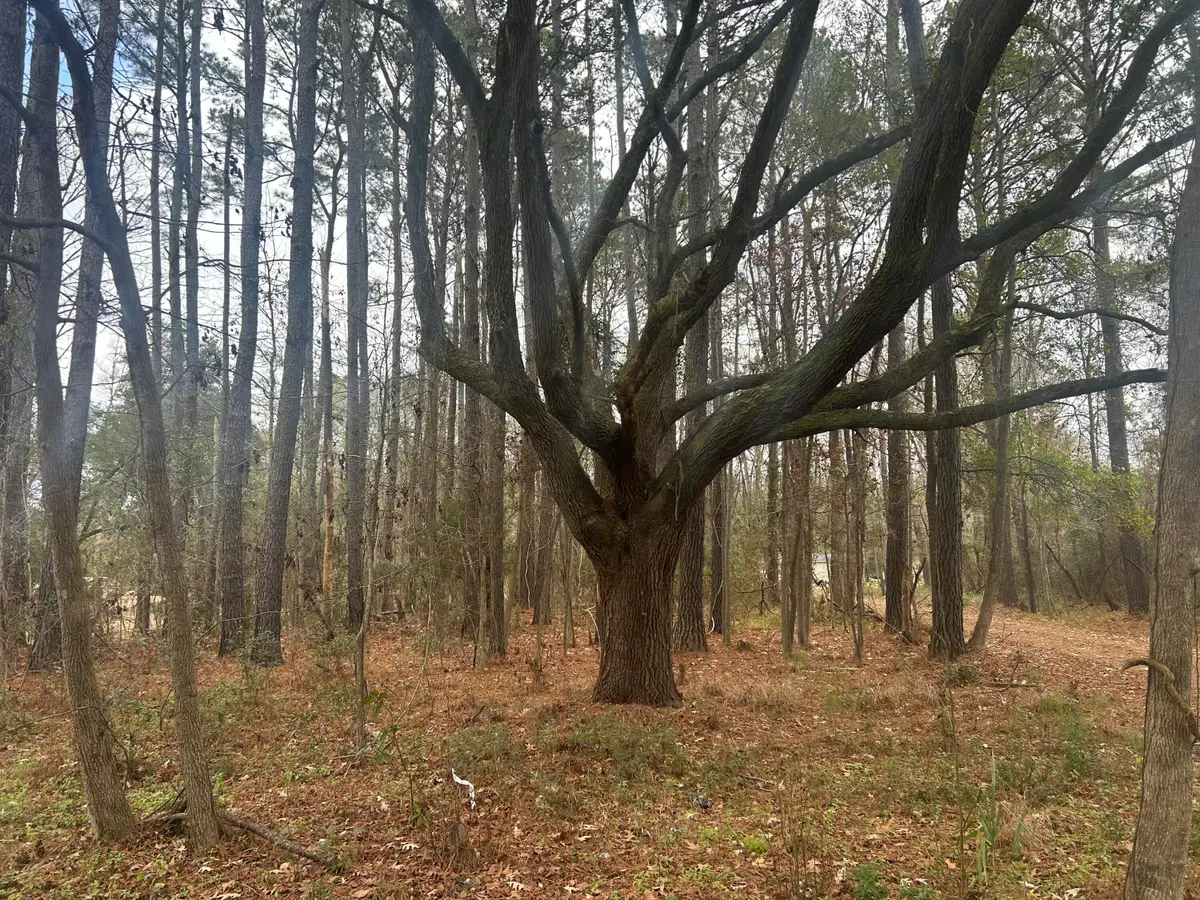 2437 Cape Road, Johns Island, SC 29455 - Image #1