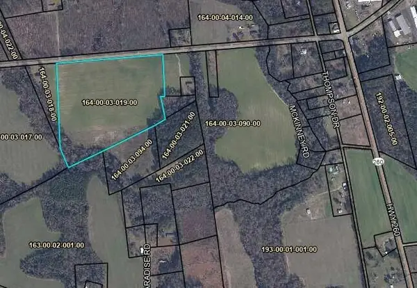 Tbd Moses Dingle Road, Manning, SC 29102