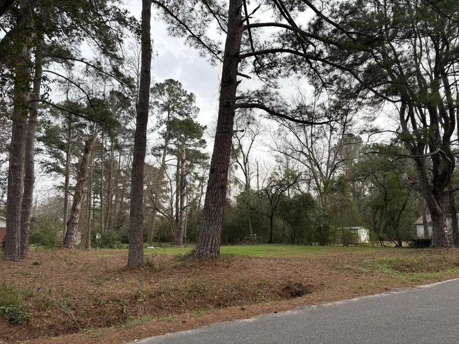 410 Poplar Street, Walterboro, SC 29488 - #2