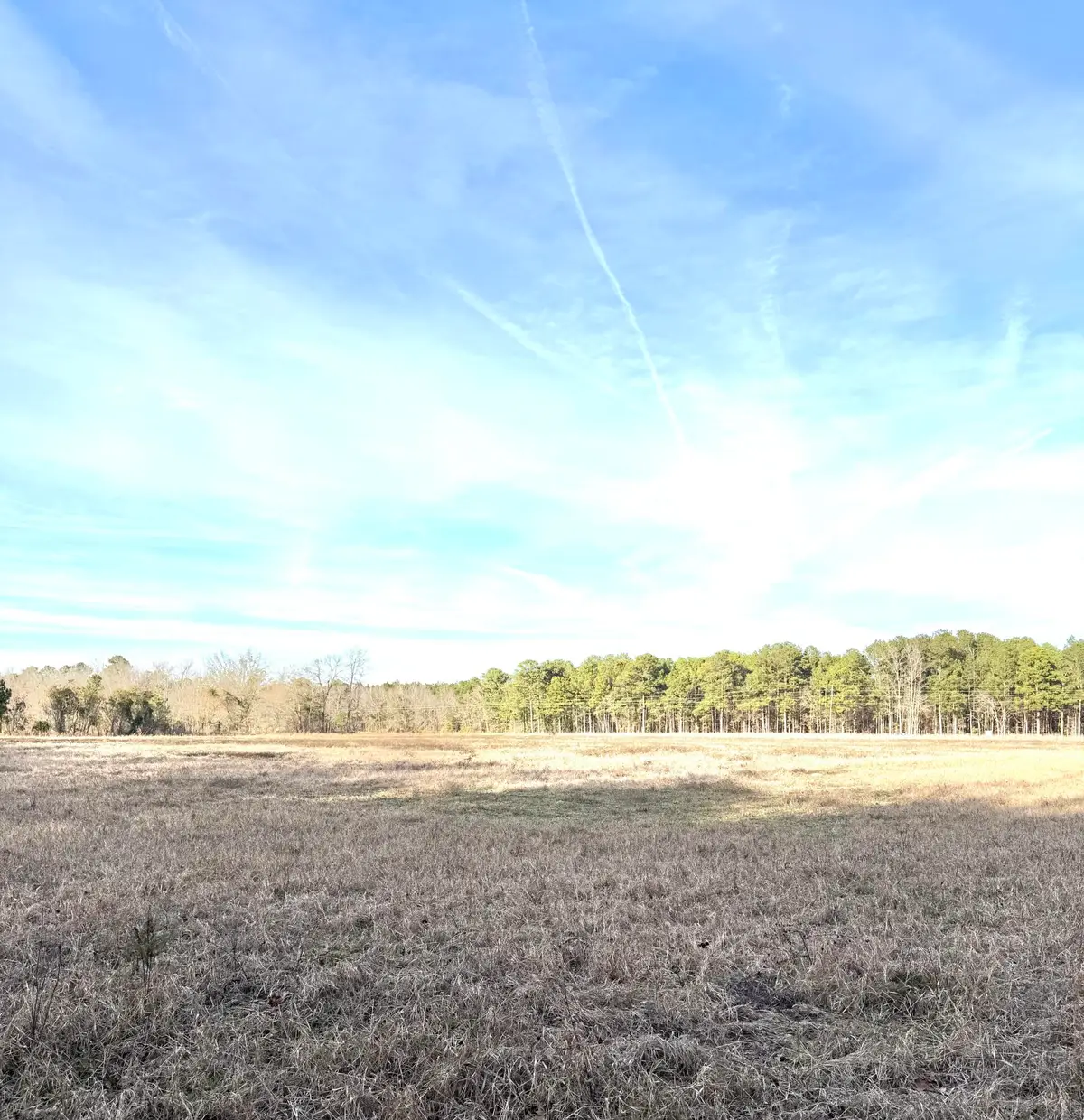 Tbd Felderville Road, Elloree, SC 29047 - Image #1