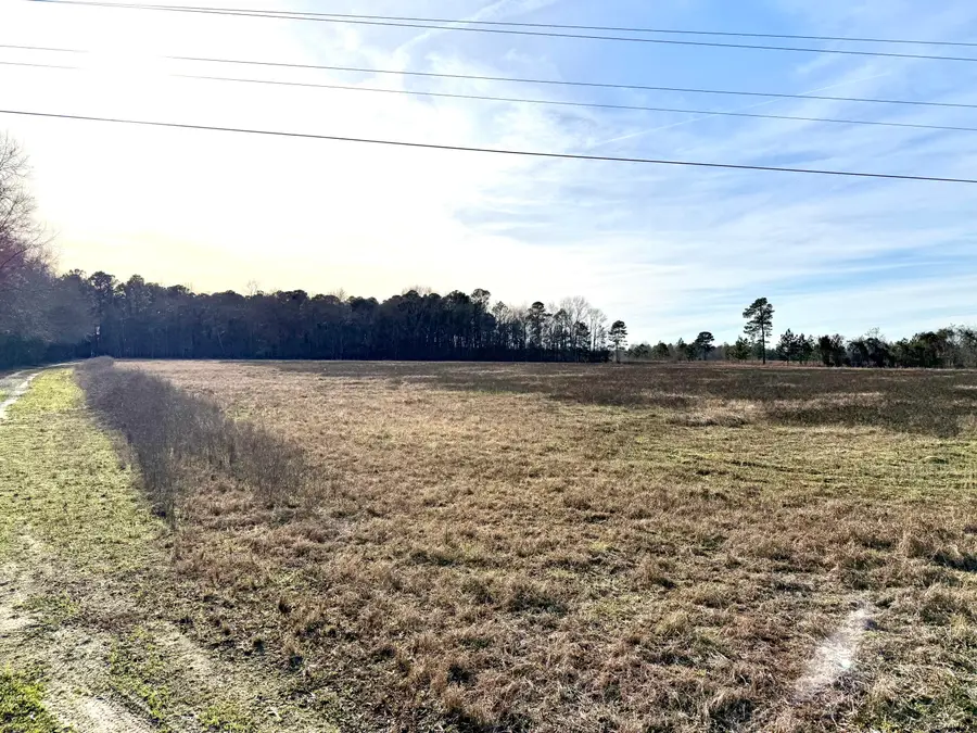 Tbd Felderville Road, Elloree, SC 29047 - Image #3