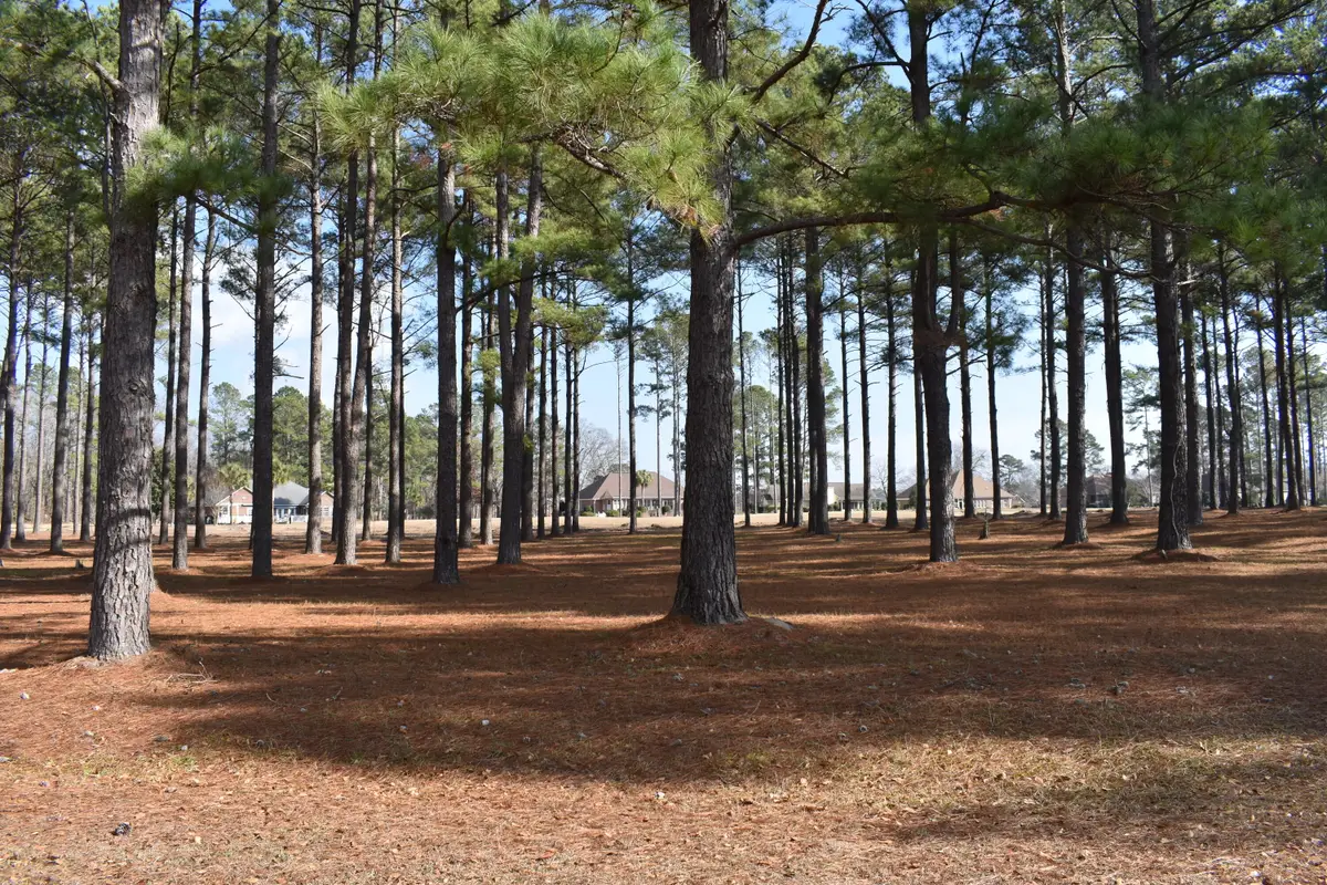 400 Pine Lake Court, Manning, SC 29102 - Image #1
