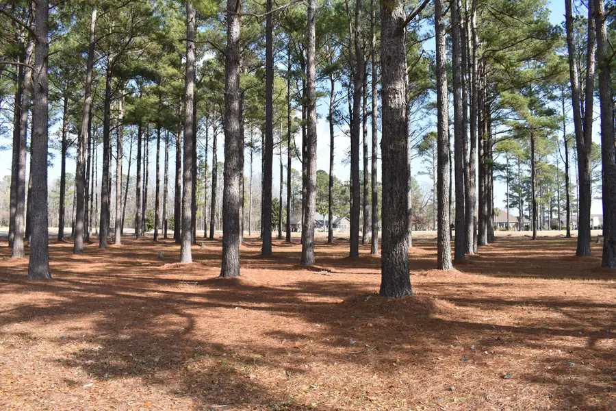 400 Pine Lake Court, Manning, SC 29102 - Image #2