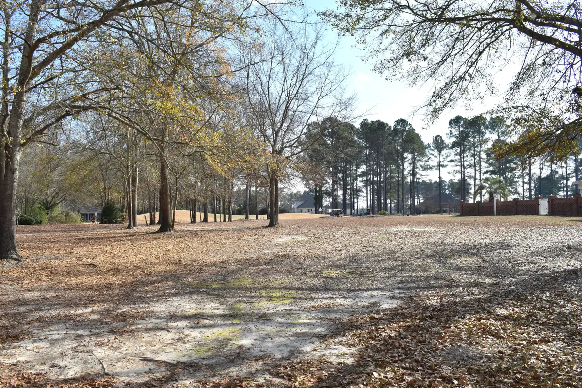 20 Lake Arbu Drive, Manning, SC 29102 - Image #1