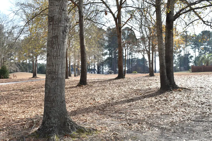 20 Lake Arbu Drive, Manning, SC 29102 - Image #3