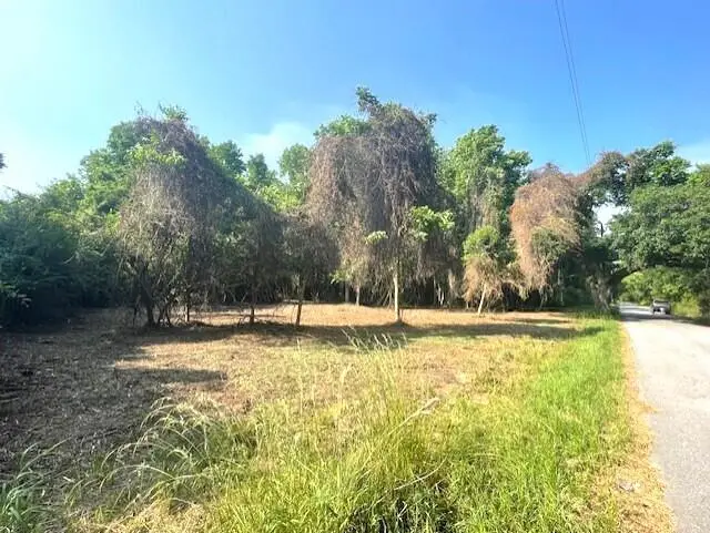 332 Dupre Road, McClellanville, SC 29458 - Image #3