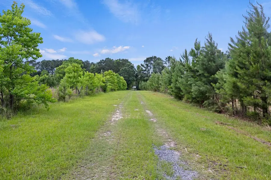 191 Marion Woods Trail, Bonneau, SC 29431 - #3