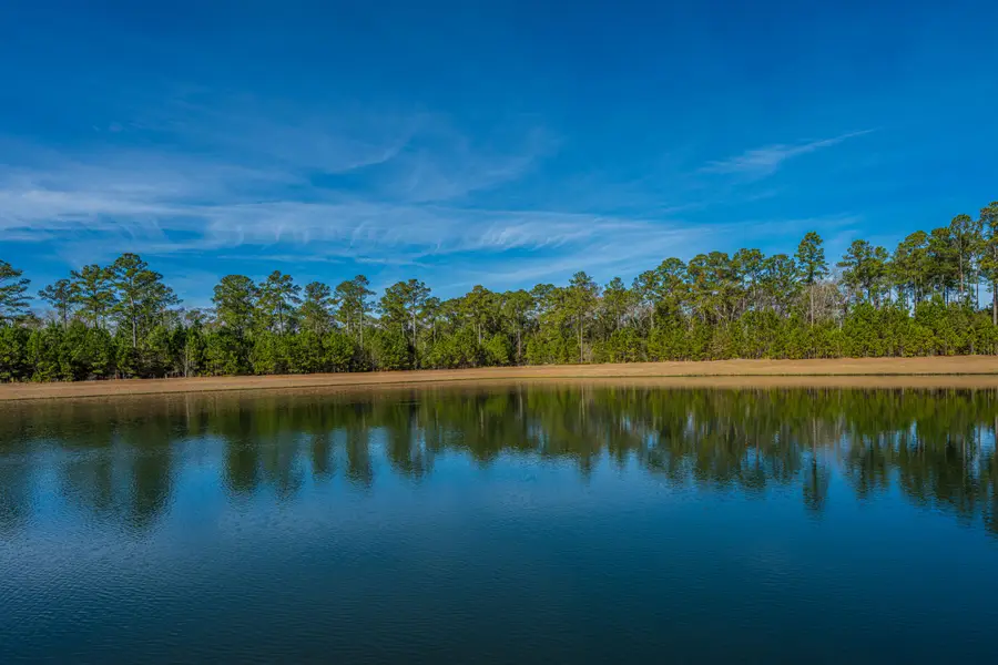 5049 Cranesbill Way, Johns Island, SC 29455 - Image #3