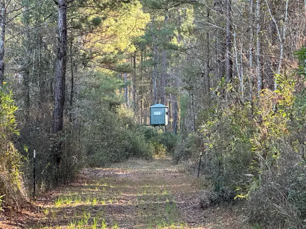 0 Highway 17a, Jamestown, SC 29453