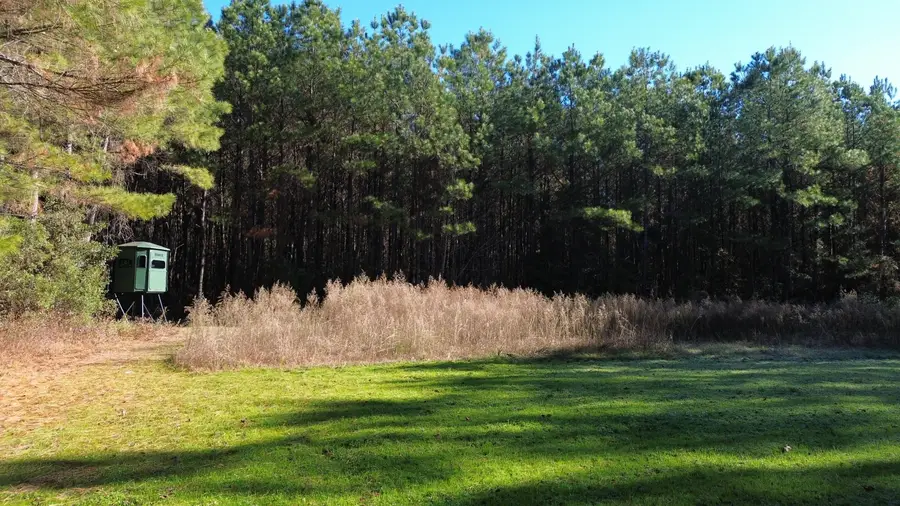 0 Highway 17a, Jamestown, SC 29453 - #2