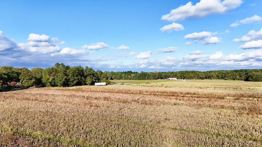 0000 Chavis Road, Blackville, SC 29817 - #2