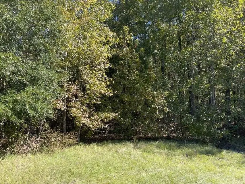 0 Carolina Highway, Olar, SC 29843 - #1