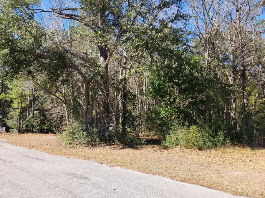 378 S Main Street, Ridgeville, SC 29472 - Image #2