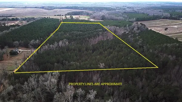 00 Raymond Rd Road, Orangeburg, SC 29118