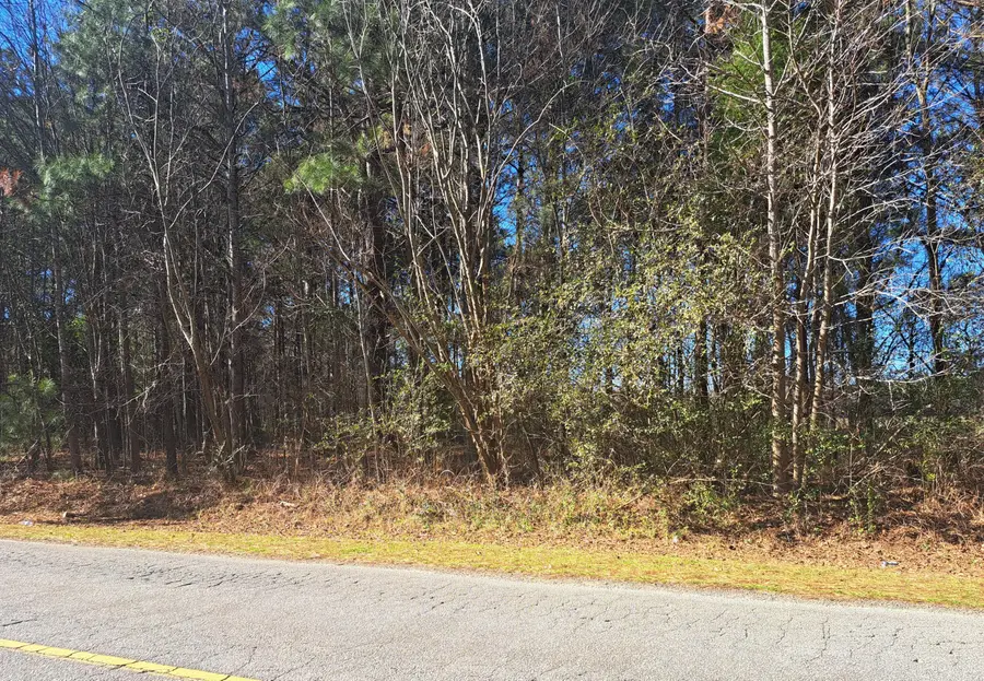 01 Antioch, Santee, SC 29142 - #2