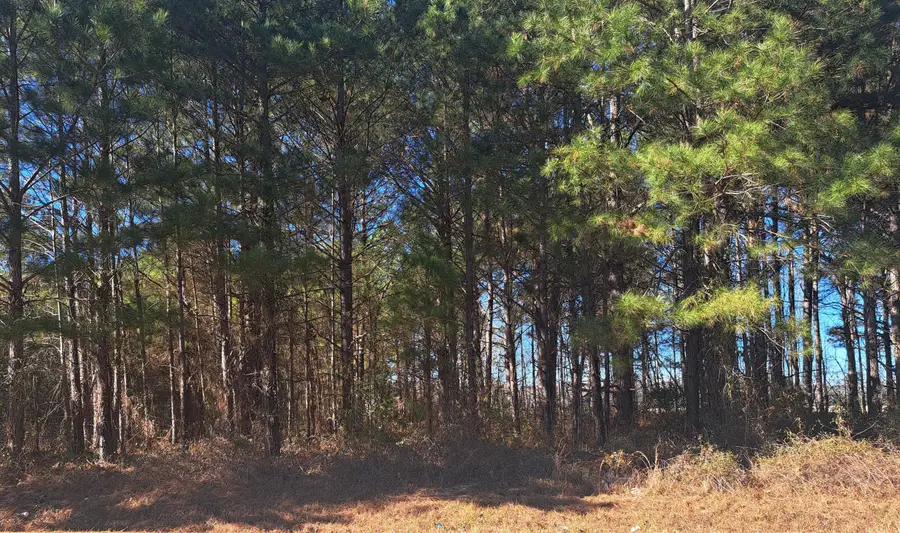 01 Antioch, Santee, SC 29142 - #3